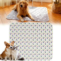 Washable Puppy Training Mat