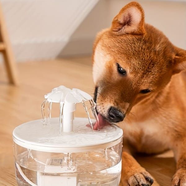 Smart Pet Water Fountain with Dual Filtration