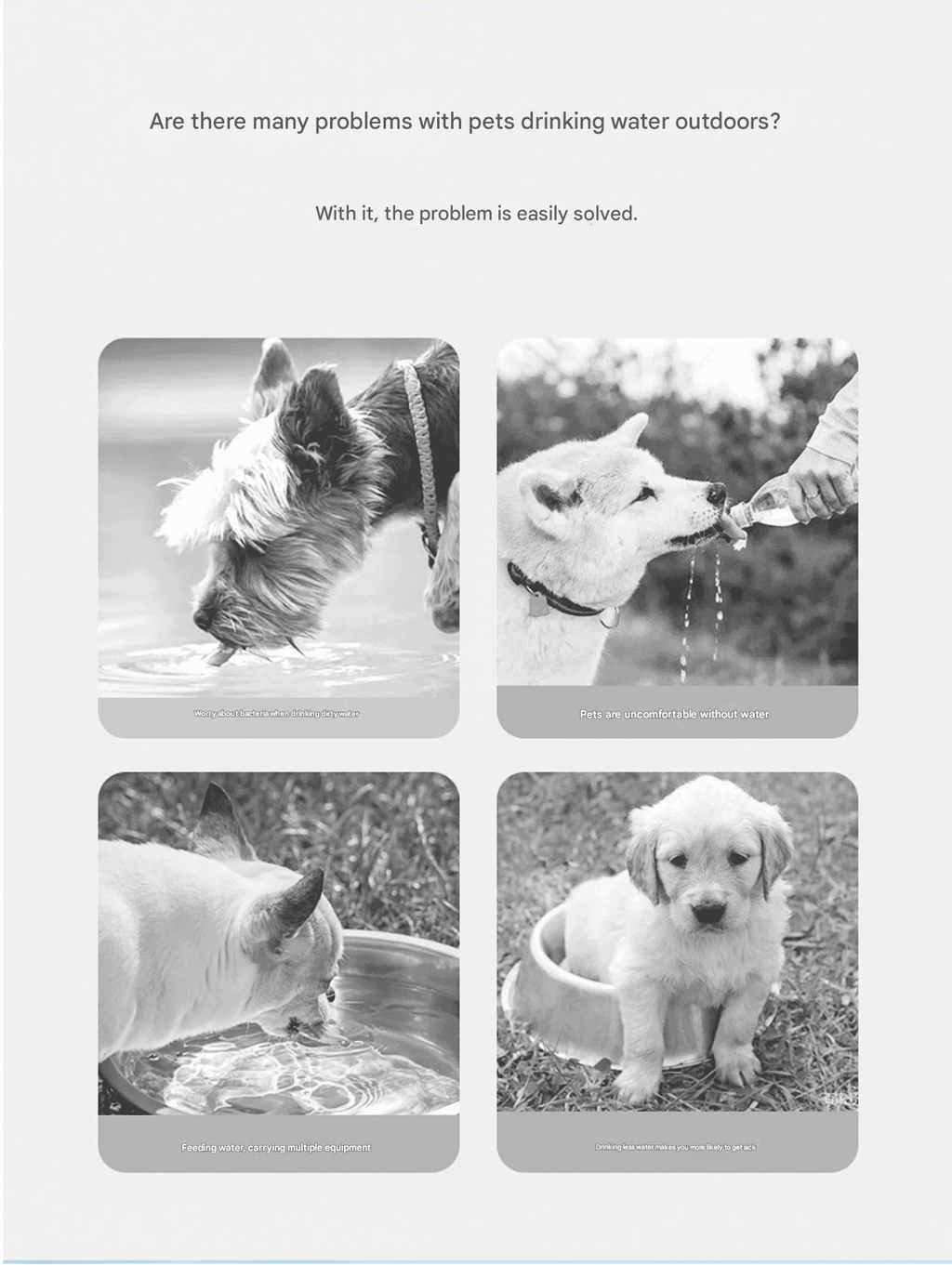 2-in-1 Portable Pet Water Bottle & Food Container - White