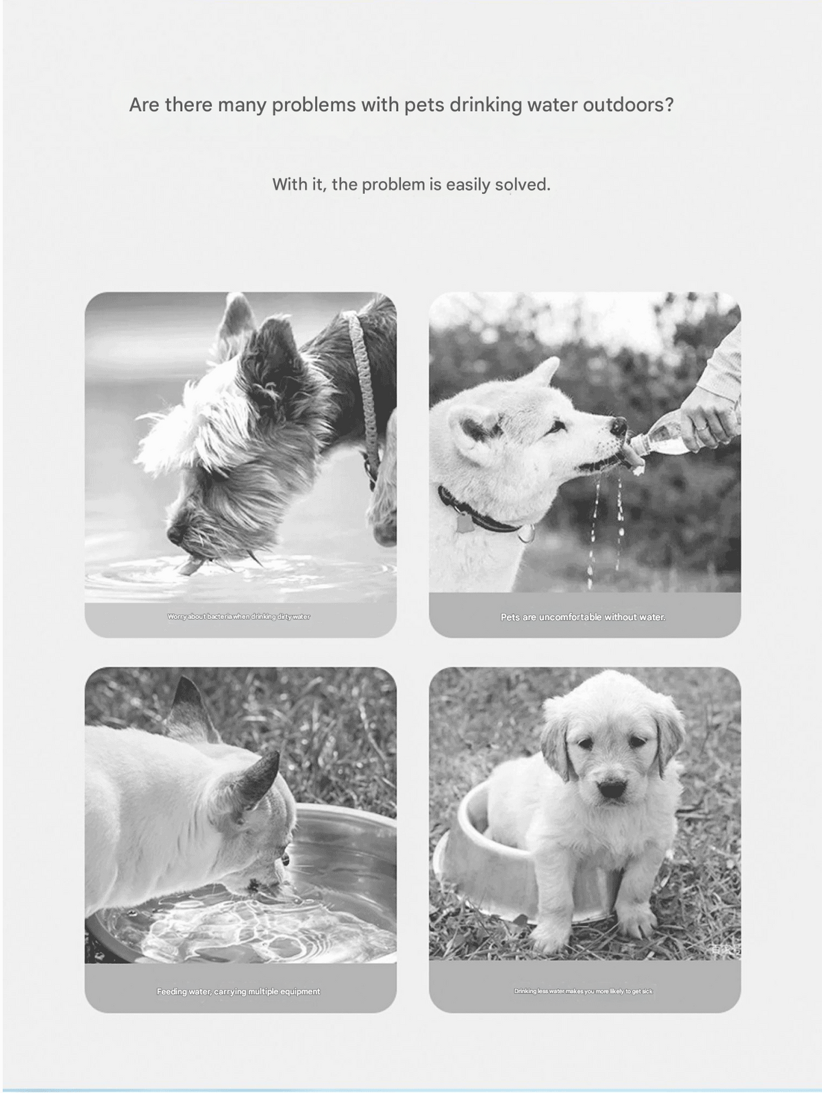 2-in-1 Portable Pet Water Bottle & Food Container - Purple