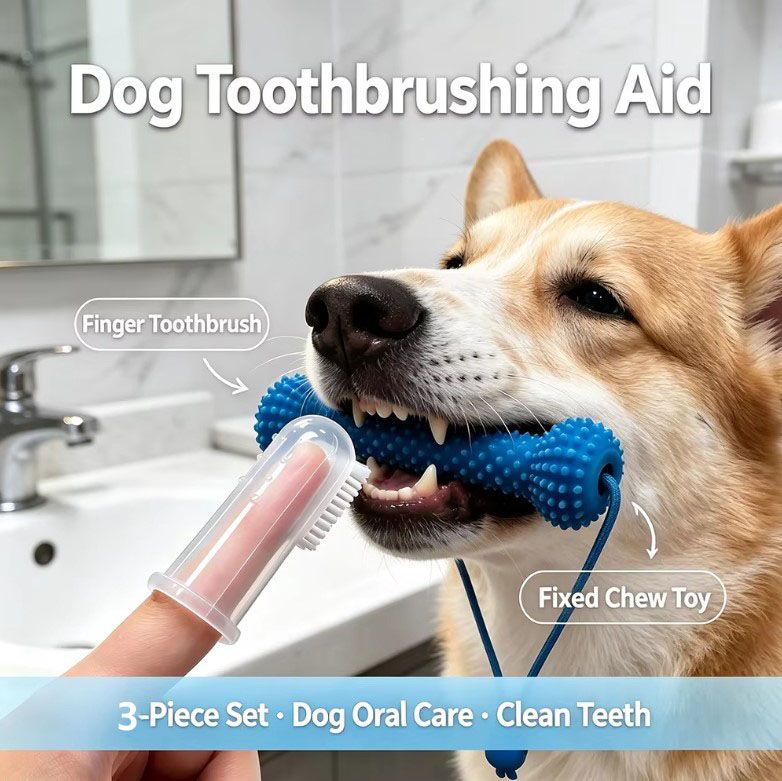 Dog Dental Chew Toy and Finger Brush Set - 10cm Blue Hands Free Chew Toy with 3 Silicone Finger Brushes for Pet Teeth Cleaning and Daily Oral Care