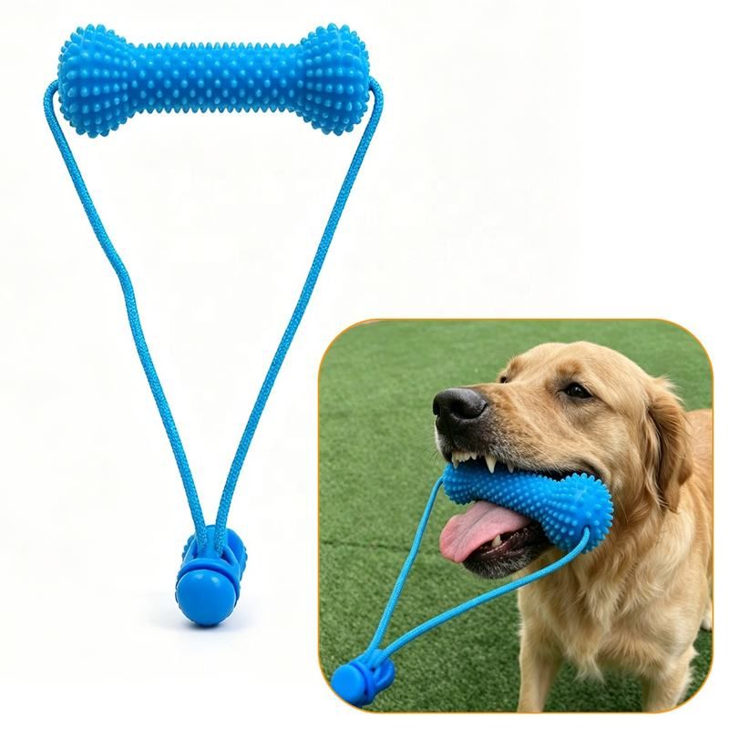 Dog Dental Chew Toy and Finger Brush Set - 10cm Blue Hands Free Chew Toy with 3 Silicone Finger Brushes for Pet Teeth Cleaning and Daily Oral Care