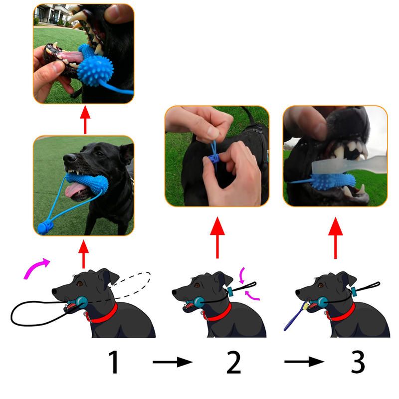 Dog Dental Chew Toy and Finger Brush Set - 10cm Blue Hands Free Chew Toy with 3 Silicone Finger Brushes for Pet Teeth Cleaning and Daily Oral Care